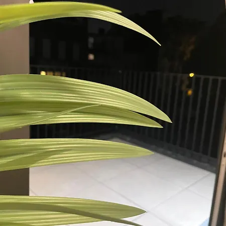 Oneluxstay Near Apartment